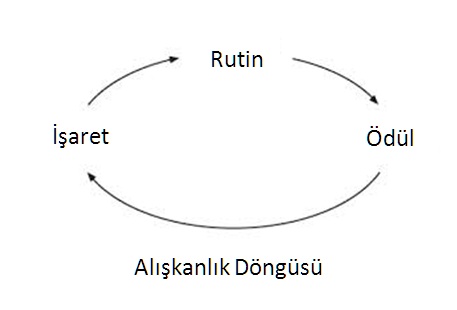 alışkanlık döngüsü